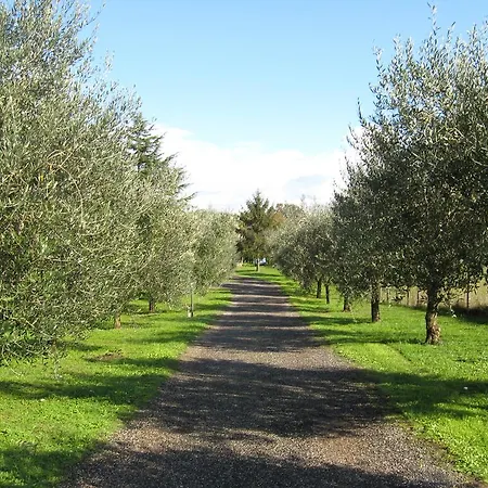 Chiara *
