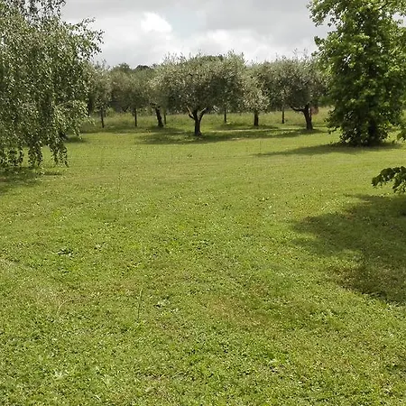 Chiara Tatil Evi *