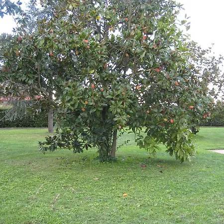 Tatil Evi Chiara